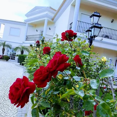 Villa Minerva Lagos